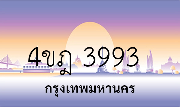 4ขฎ 3993